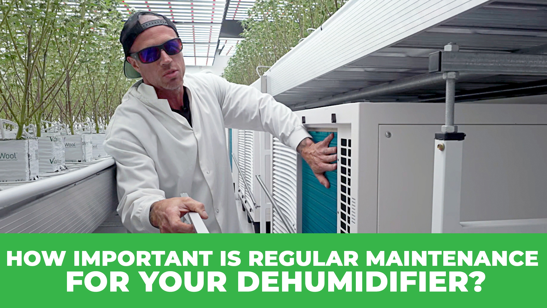 How important is regular maintenance for your Dehumidifier? CANNADRI